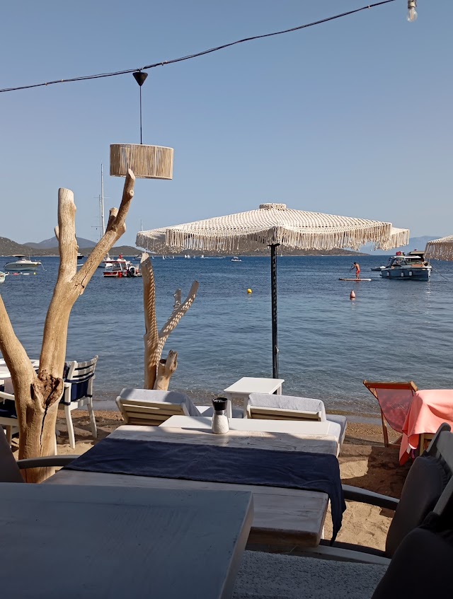 Ayana Oda fotoğrafı