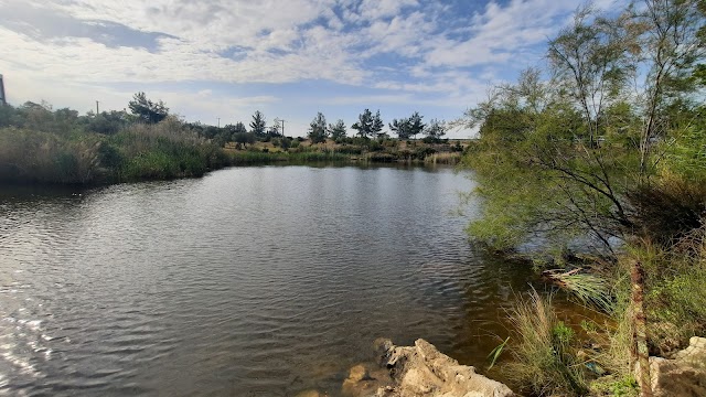 Mustafa Kallem Parkı fotoğrafı