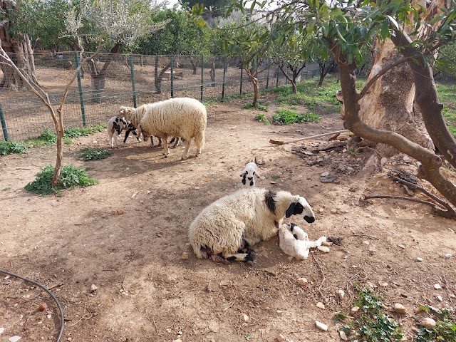 Marmara Koleji AKM fotoğrafı