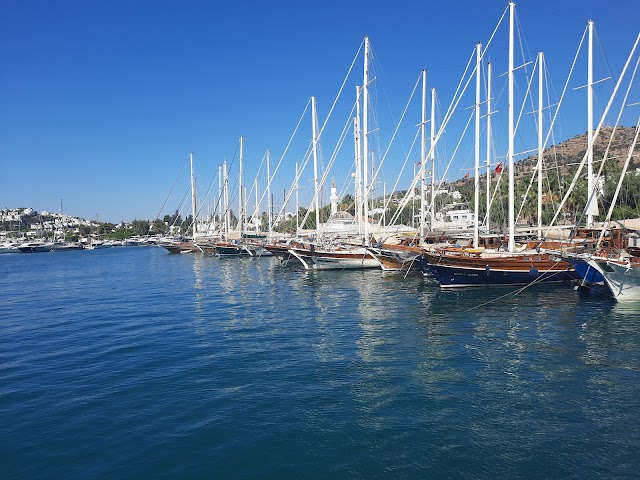 Bodrum Yat Limanı fotoğrafı