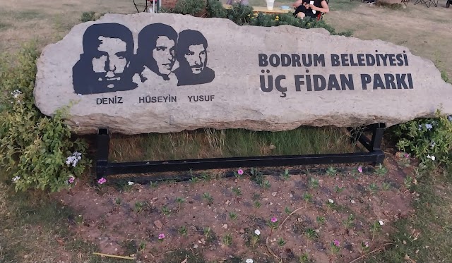 Bodrum Belediyesi Üç Fidan Parkı fotoğrafı