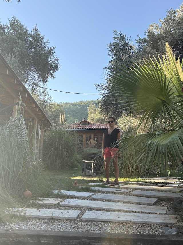 Holy Stone Healing Center fotoğrafı