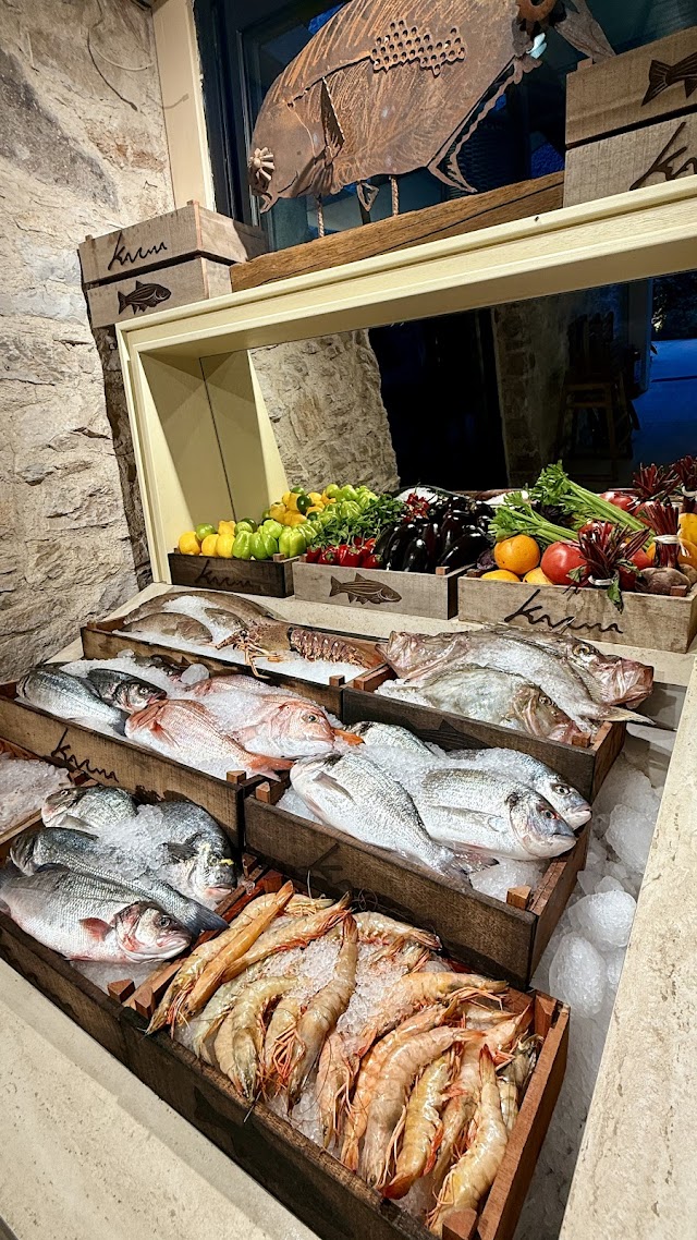 Karma Bodrum fotoğrafı