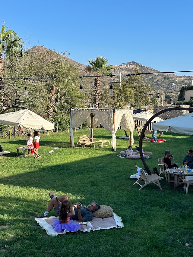 Nova Bodrum fotoğrafı