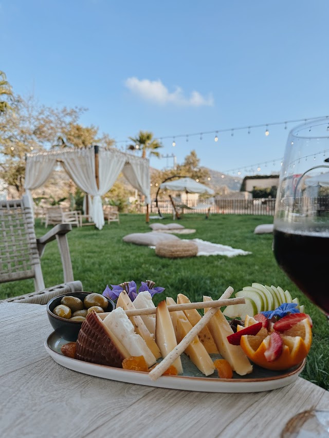 Nova Bodrum fotoğrafı