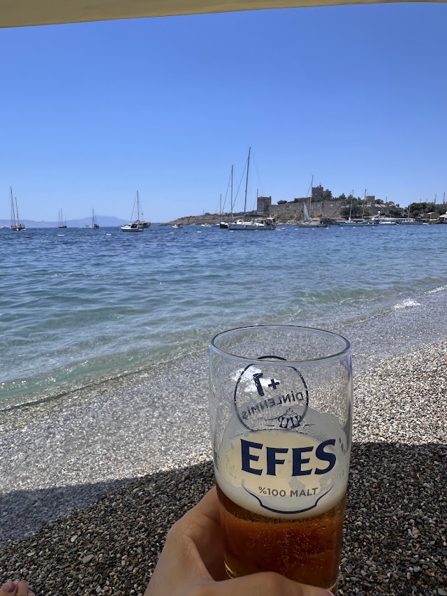 Soso Bodrum fotoğrafı