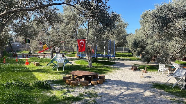 Birlikte•Bodrum fotoğrafı