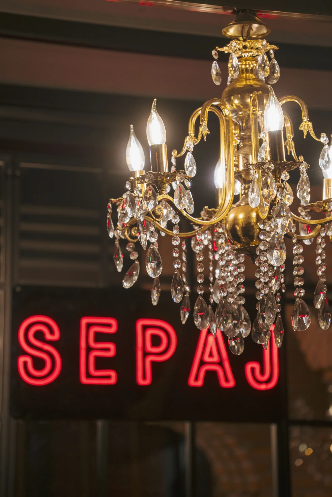 Sepaj photo 8