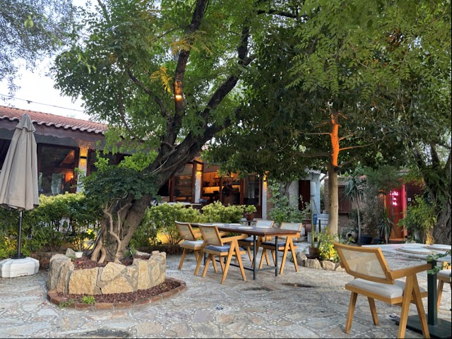 İZ Bodrum fotoğrafı