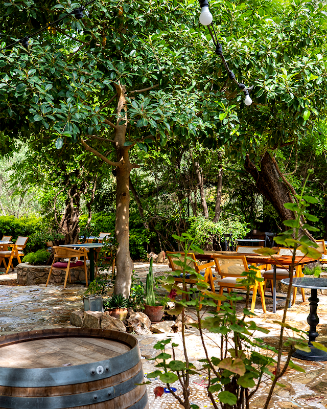 İZ Bodrum fotoğrafı