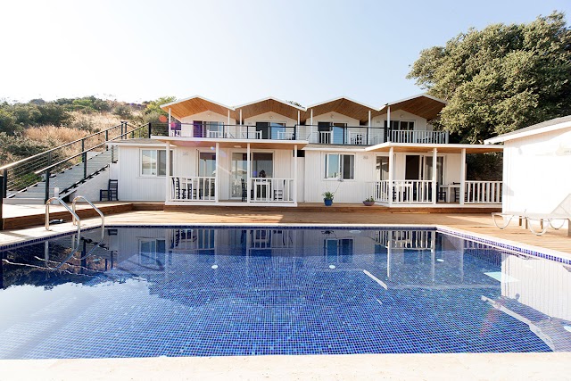 Metin's Gümüşlük fotoğrafı