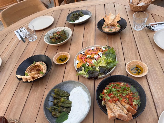 JOUR Bodrum fotoğrafı