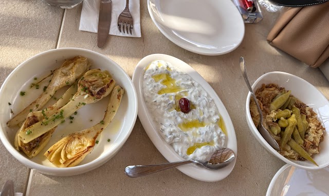 Harika Bitez fotoğrafı