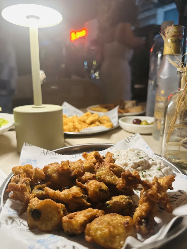 Harika Bitez fotoğrafı