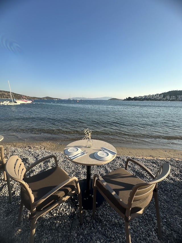 Harika Bitez fotoğrafı