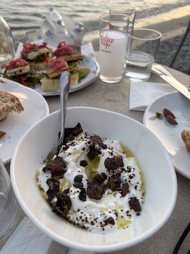 Harika Bitez fotoğrafı