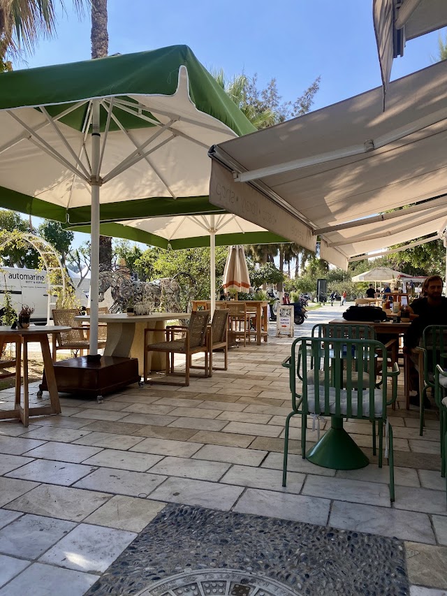 Gaya People fotoğrafı