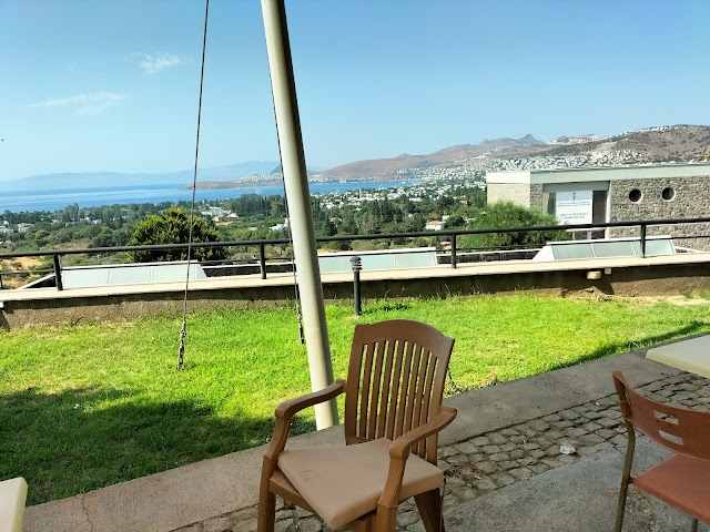 Bodrum Güzel Sanatlar Fakültesi fotoğrafı