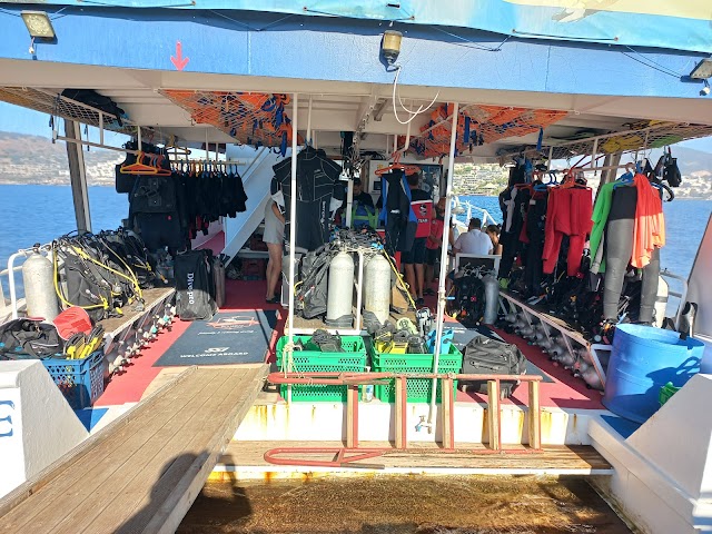 Happy Bubbles Dive Center fotoğrafı