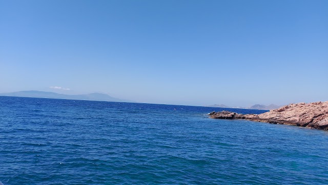 Happy Bubbles Dive Center fotoğrafı