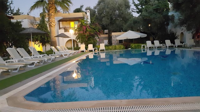 Toloman Hotel fotoğrafı