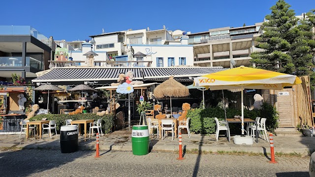 Happy Bear fotoğrafı