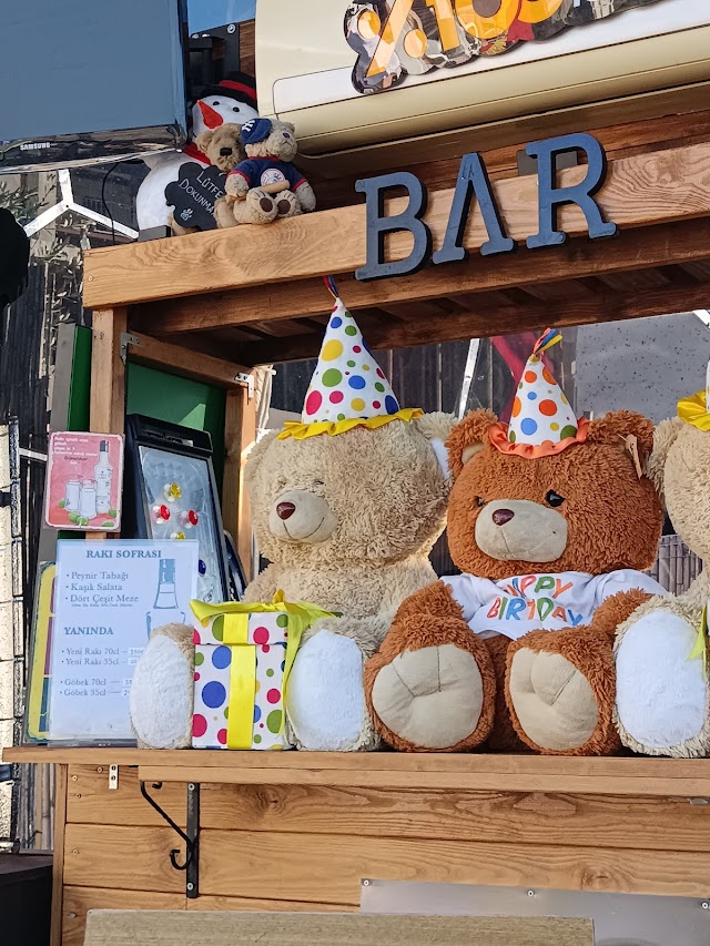 Happy Bear fotoğrafı