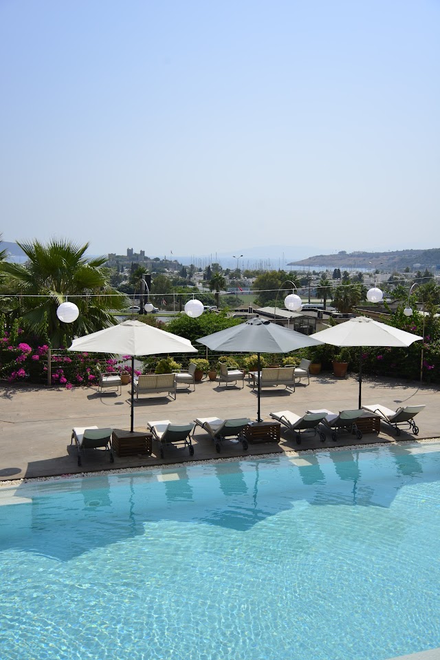 Lvzz Hotel fotoğrafı