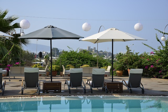 Lvzz Hotel fotoğrafı