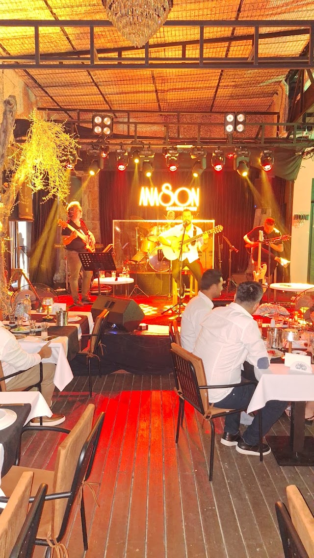 Anason Bodrum fotoğrafı