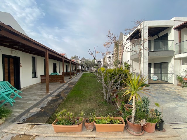 Kemancı Suites & Restaurant fotoğrafı