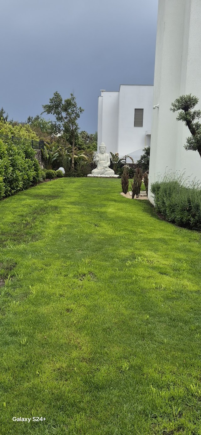 Sydra Bitez fotoğrafı