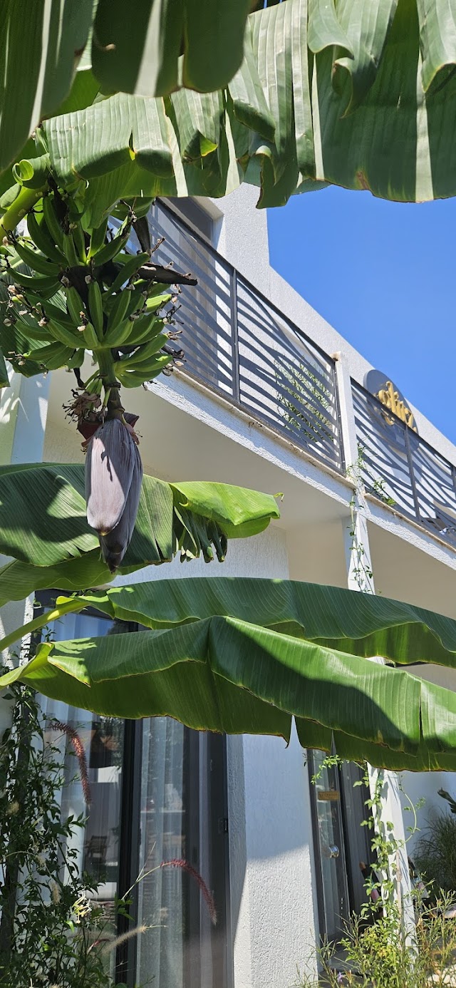 Glitz Bodrum fotoğrafı