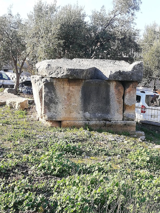 Deve Güreşi Arena fotoğrafı