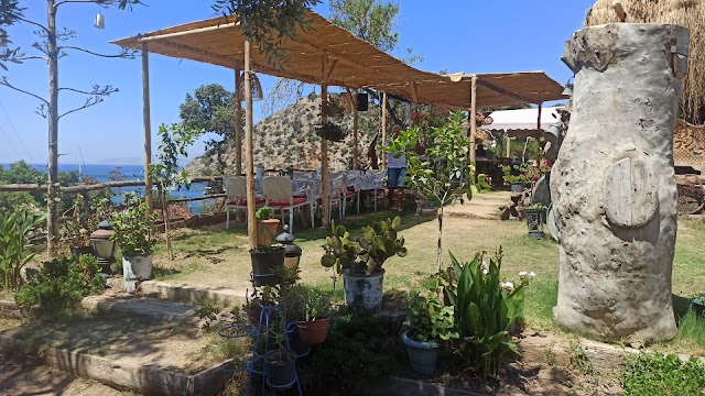 Güneş Gümüşlük fotoğrafı