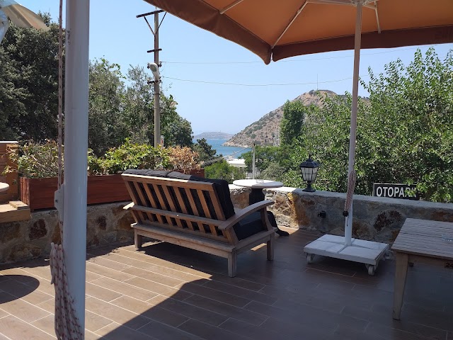 Non Stop fotoğrafı