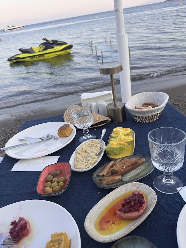 Musto Ortakent fotoğrafı