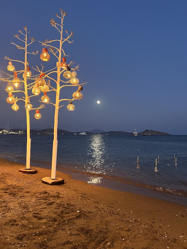 Musto Ortakent fotoğrafı