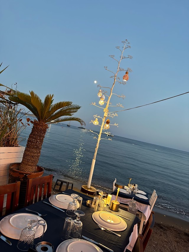 Musto Ortakent fotoğrafı