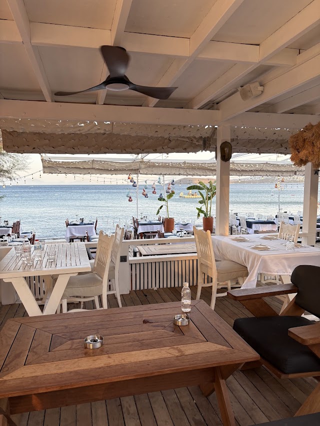 Musto Ortakent fotoğrafı