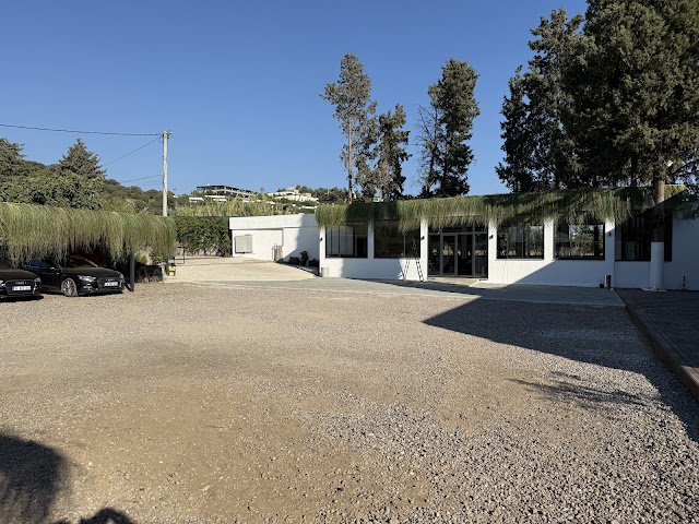  Racing Car Cafe fotoğrafı