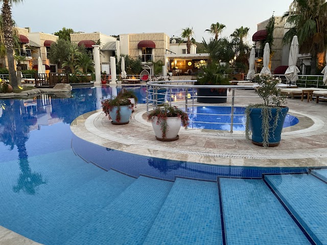 TYRO Pizzeria Ristorante Italiano fotoğrafı