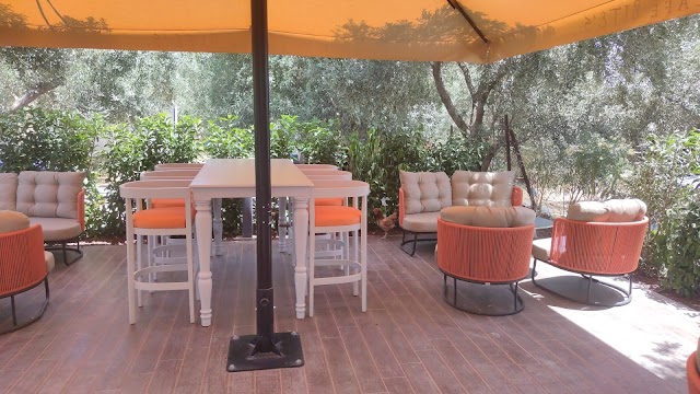  The Cafe Bite's fotoğrafı