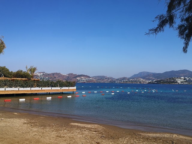 Alacain Halk Plajı fotoğrafı