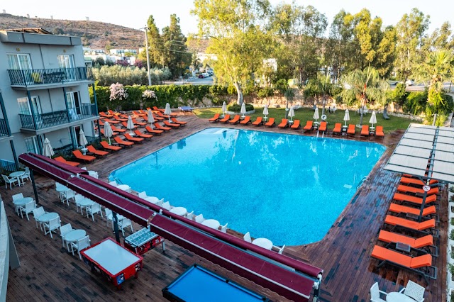  Bodrum Beach Resort fotoğrafı