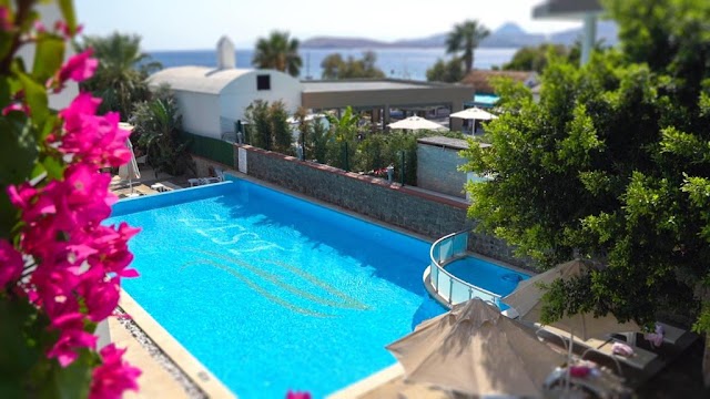  Zest Exclusive Hotel and Spa fotoğrafı