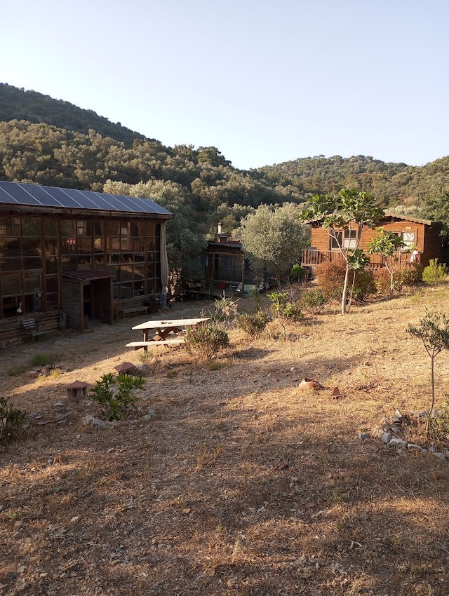 Vadi Bodrum fotoğrafı