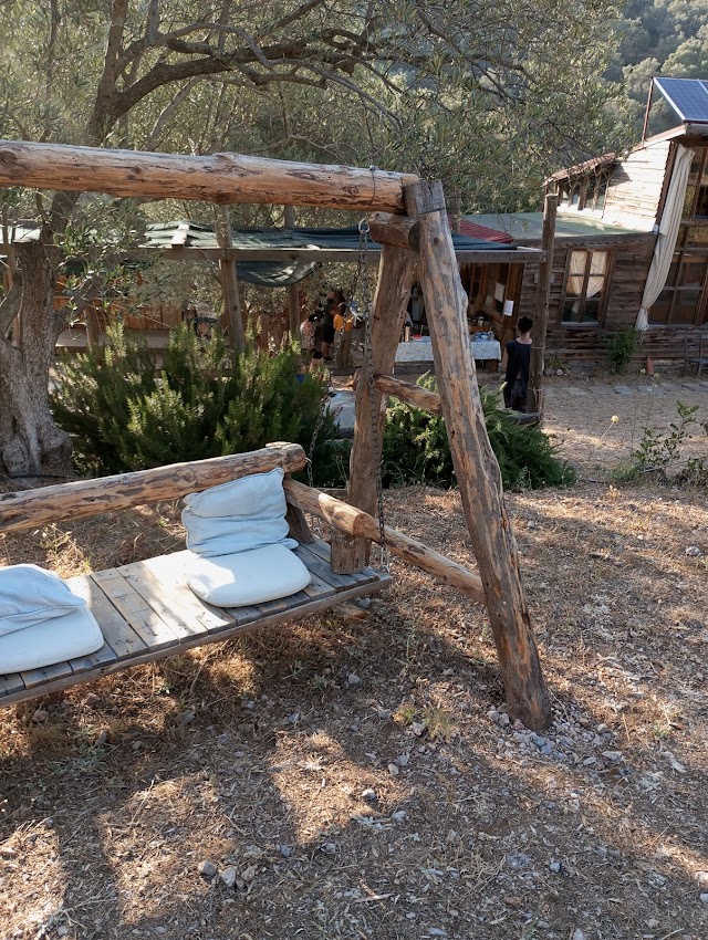 Vadi Bodrum fotoğrafı