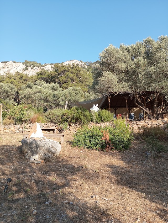 Vadi Bodrum fotoğrafı
