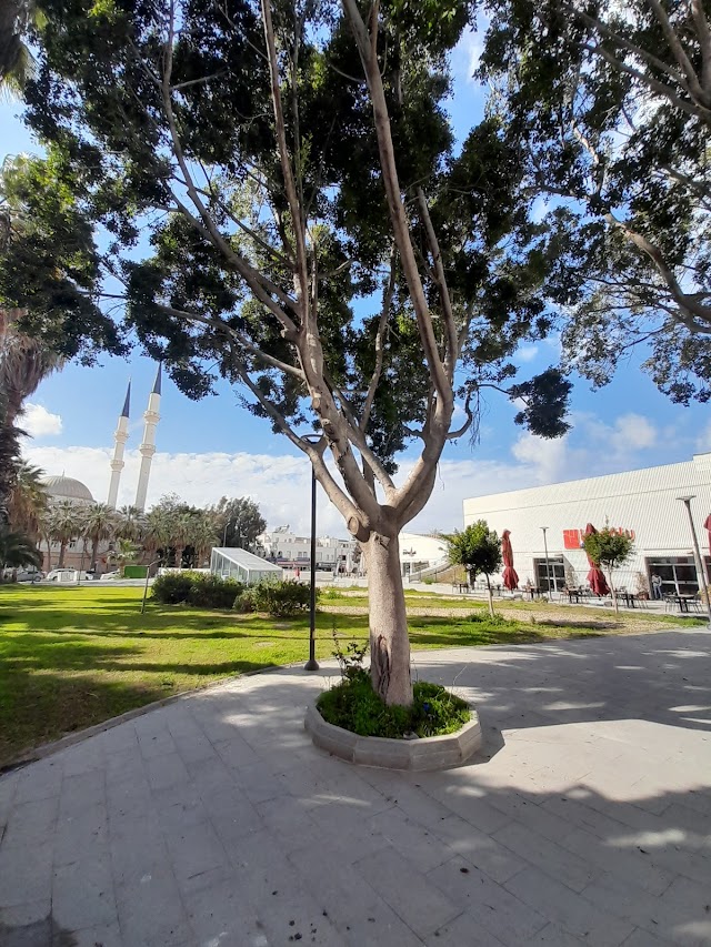 Turgutreis Yaşam Merkezi fotoğrafı